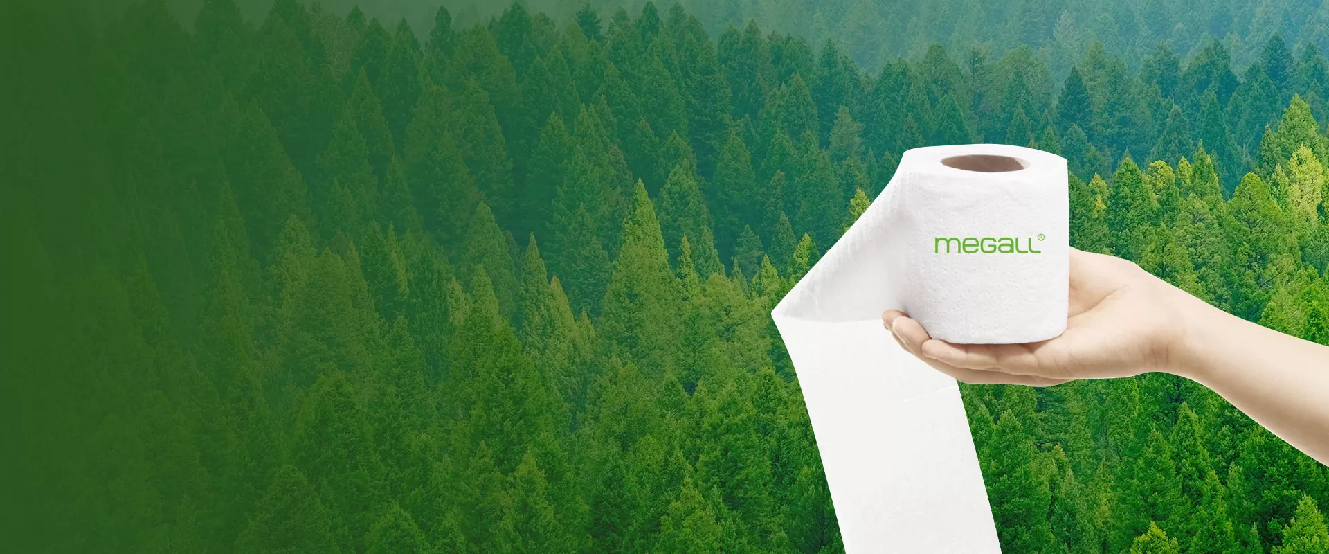 Fornecedor de papel sanitário e fábrica